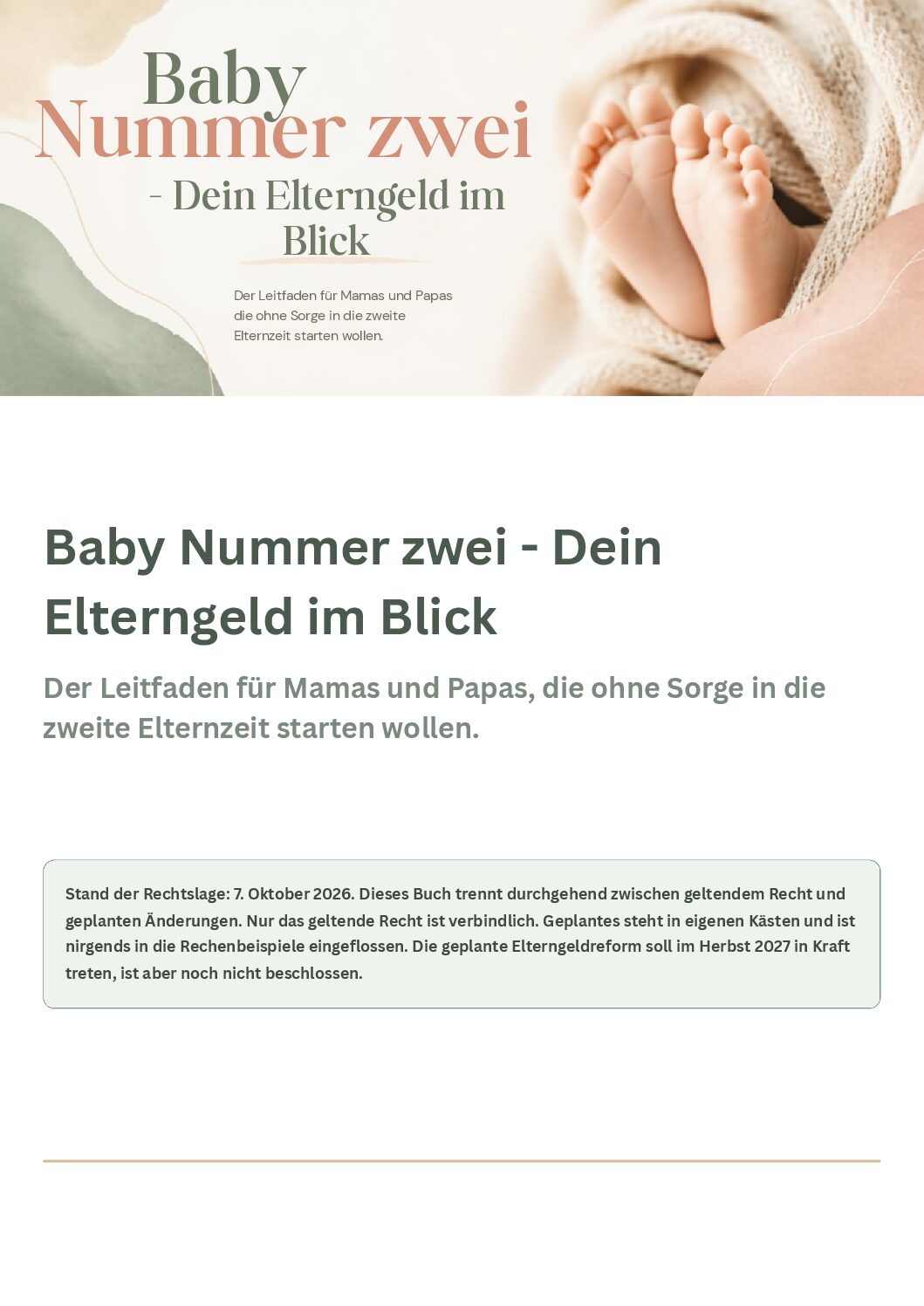 Baby Nummer zwei - Dein Elterngeld im Blick (eBook)